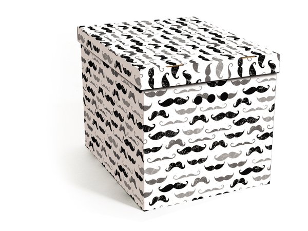Aufbewahrungsbox Mit Deckel Deko Karton Aus Pappe Mehrzweckbox - Schnurrbart